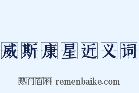 威斯康星近义词是什么意思的图片